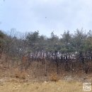 상주(청주)졸음쉼터 이미지