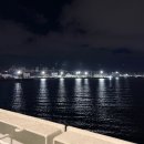 완도읍-8 | 제주도 배편 완도항 (제주배닷컴) 실버클라우드 예약방법 가격 요금안내 전기차 선적 후기