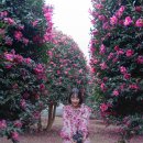 영옥농장 이미지