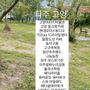 평화모터랜드 이미지