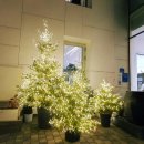 서서울승마클럽 이미지