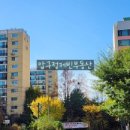 압구정-206 이미지