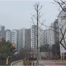 뉴타운현대공인중개사사무소 이미지