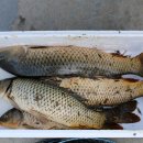 큰바위농장 이미지