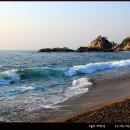 구룡포 Daum카페