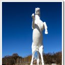 백마고지위령비 이미지