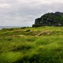 오조리-5 이미지