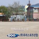 강하초등학교 이미지