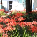 중리공원 이미지