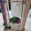 대자연유치원 이미지