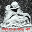 토라 Daum카페