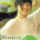 홀리