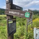 봉화산 솔바람길 이미지