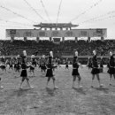 수원-1964 이미지