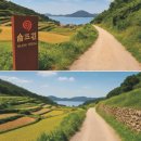 청산도게스트하우스 | 한국의 지중해? 여름 청산도 여행 브이로그 추천 코스