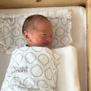 (주)신세계푸드 트리니티병원점 | 트리니티 판교 산후조리원｜출산 후 3주간의 기록