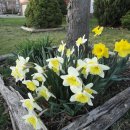 삶의 이야기가 있는 집 이미지