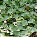 척산온천휴양촌 이미지