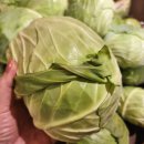 스스로 지키는 손안의 건강 _ 건강 손자극법 | 양배추 효능과 먹는법｜위 건강에 좋은 이유, 고르는법·보관법·찌는법 정리