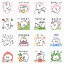 몰랑토실 토쑤니 이미지