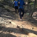 강남-293 | [등산일기] 서울 등산초보 대모산(293m) &amp; 구룡산(306m) 연계산행 후기