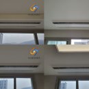 크린오포 이미지