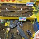 어시장 정문 이미지