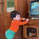 나팔바지 | 료꾸미 페이스쫄깃티 레트로 나팔바지 xs 후기