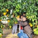 금종농장 이미지