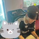 델릭서 네이버블로그