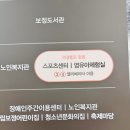 연일읍 미르 작은도서관 | 용인 보정 영유아체험실 후기 및 주의사항