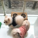 뽑기팡 이미지