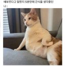 호텔 뉴브 | [식당] 선릉역 호텔뉴브 레스토랑 ‘그랑뉴브’ 후기 : 브런치 맛집🍴