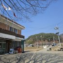 김시산정려충신문 Daum카페