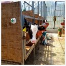 청신목장 이미지