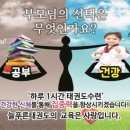 염포초등학교 이미지