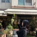 정발산공원 화장실-6 이미지