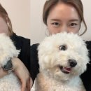 숲;79펜션 이미지