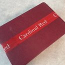 금장개발 | CardinalRed 카디널레드 벨백 리자드 금장 착용샷/수납 후기