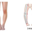 그린스터디
