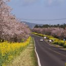 표선면-4 이미지