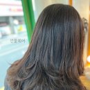 선물헤어 - 삼척시 | 선물헤어