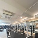 금릉역 | 운동 루틴 잡기 좋은 파주헬스장, 에이플러스짐휘트니스 금릉역점 후기