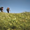 삼둔사가리 이미지