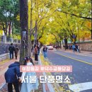 친구와 돌담길 | 서울 단풍구경 정동길 덕수궁 돌담길 은행나무 단풍명소