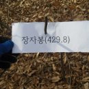 장암1리경로당 이미지