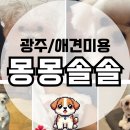 몽몽솔솔 이미지