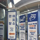 부산터널입구 02023 | 부산 해운대 실내 가볼만한곳 🐠 SEA LIFE 부산 아쿠아리움 후기 (입장료, 주차, 소요시간)