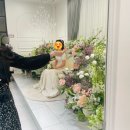 미나축사 네이버블로그