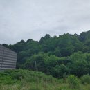 복수초등학교용진분교장 이미지